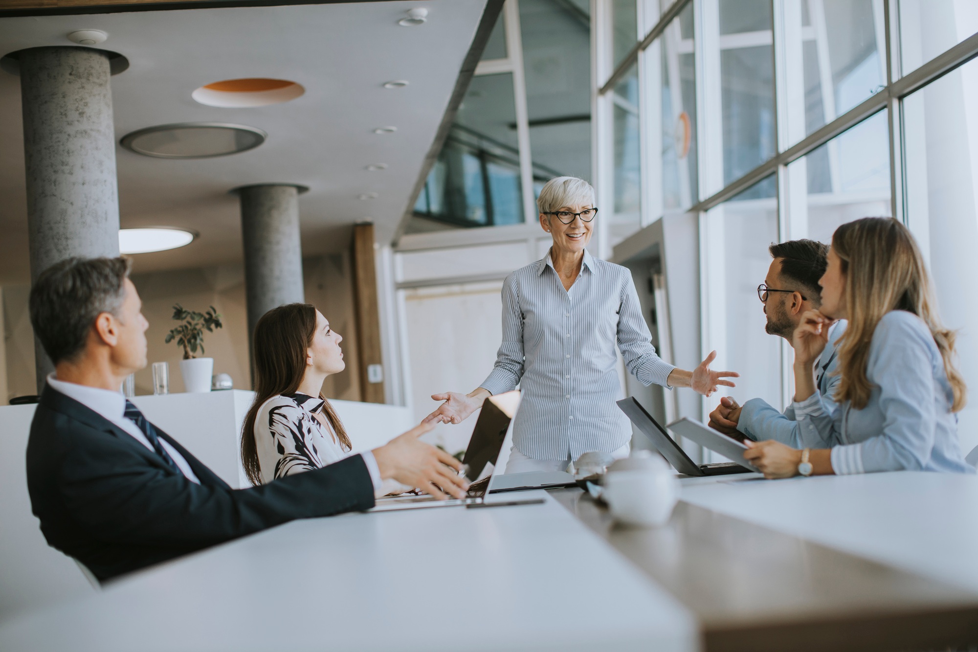 Mature business woman explaining project details on a meeting in office